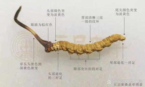 孩子脸上有红印子怎么办网 | 孩子脸上起白斑是什么原因,孩子脸上一块白色怎么回事